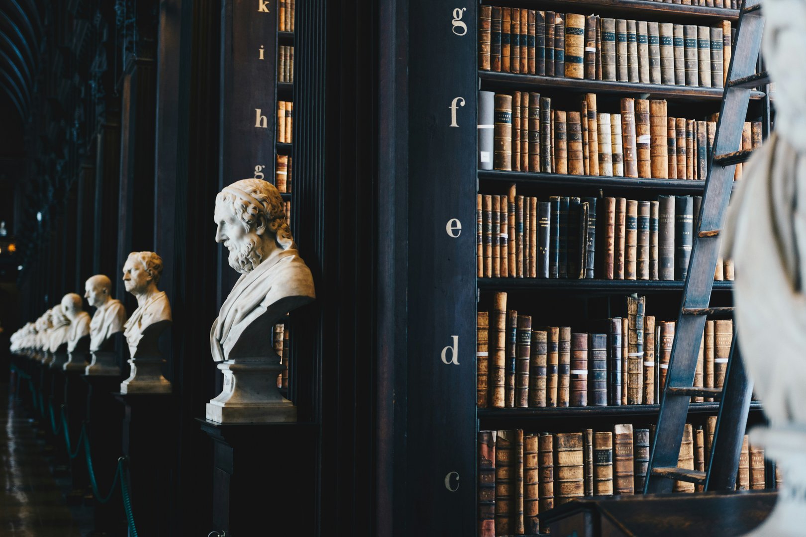Library interior pillars